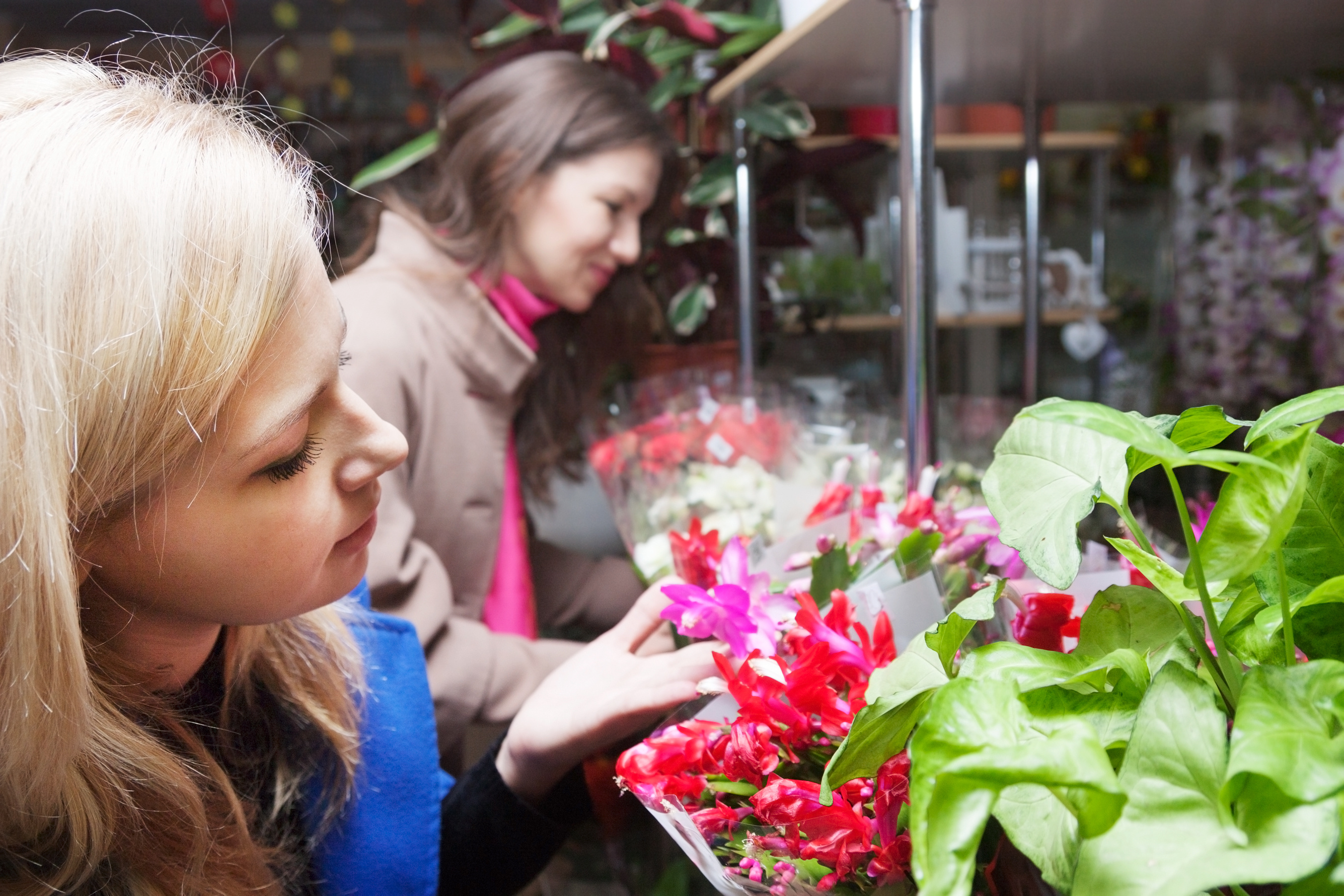 floral shop